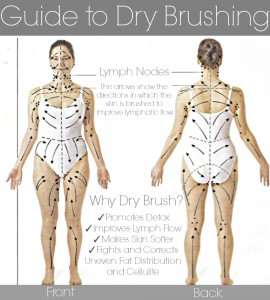 Lymph Flow Guide