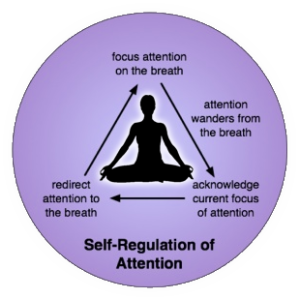 meditation-attention-regulation